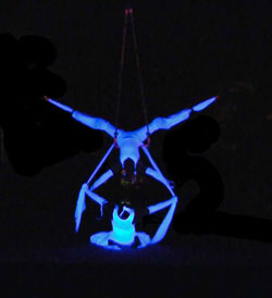 new exciting show with uv props, stilt dance, acrobatic movement theatre and fire, trapeze on stilts, silks, tissu, aerial circus acts