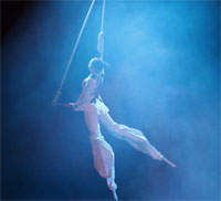 stilt trapeze, aerial show, circus